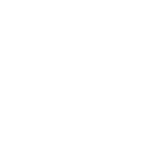 Create & Launch Meme Coins