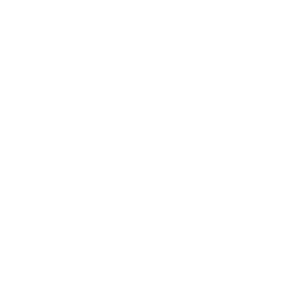 Transaction Logs