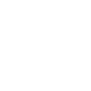 Instant Meme Coin Launches